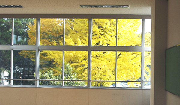 学校の窓ガラス